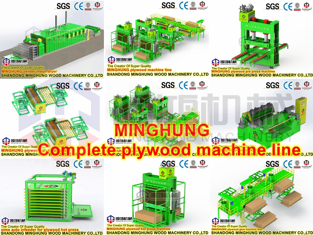 MINGHUNG Ligne de contreplaqué MCHINERY