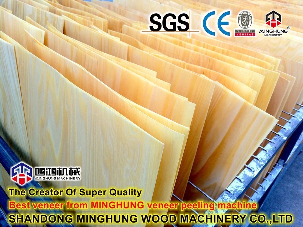 Shandong-Minghung-Wood-Machinery-Co-Ltd- (2)