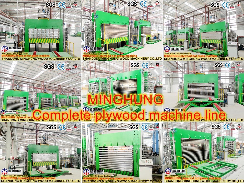 Machine de fabrication de processus de production de contreplaqué pour le fabricant de contreplaqué