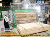 Machine de dessiccateur de placage de contreplaqué de 15 couches