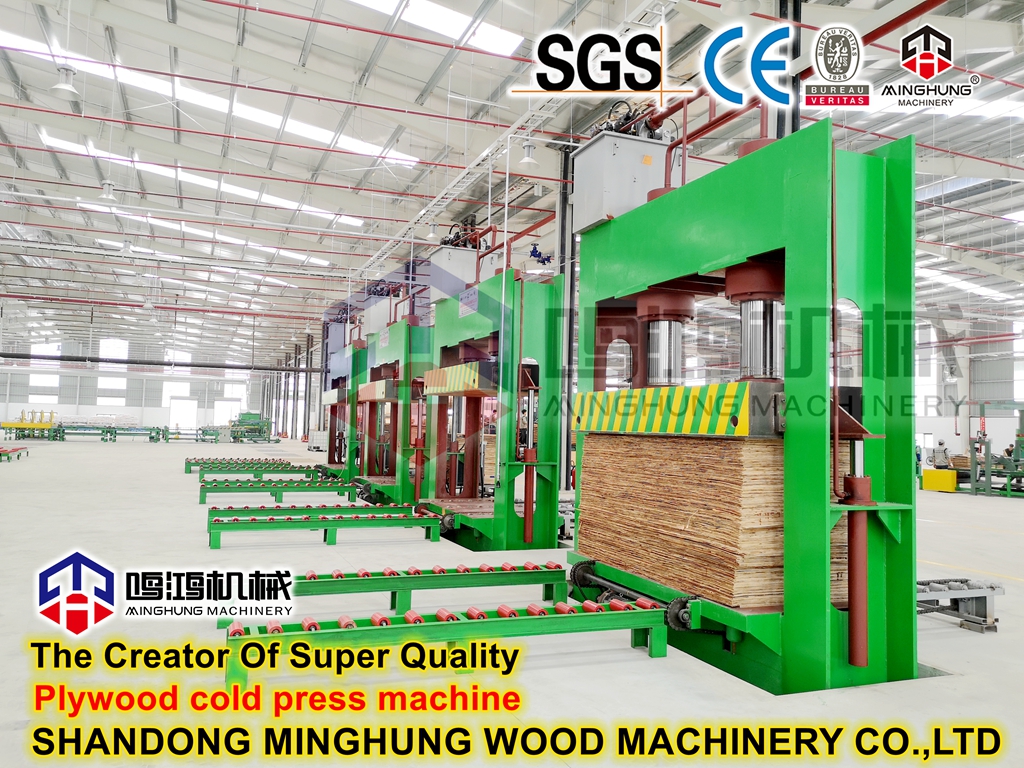 MINGHUNG Cold Press Machine_ 副本