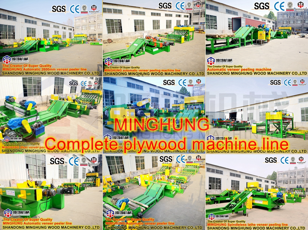 MINGHUNG machine &agrave; &eacute;plucher les placages