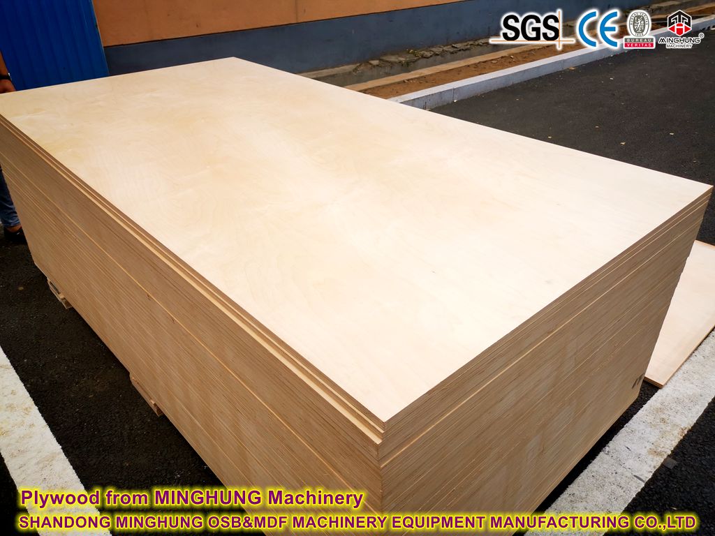 Plywood de la machine MINGHUNG
