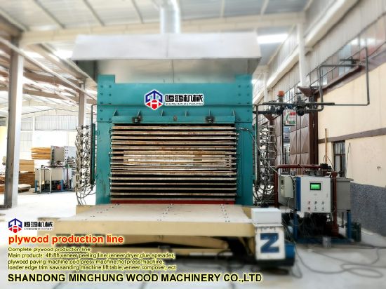 Machine de presse à chaud hydraulique personnalisée avec plaque chauffante épaisse pour la fabrication de contreplaqué