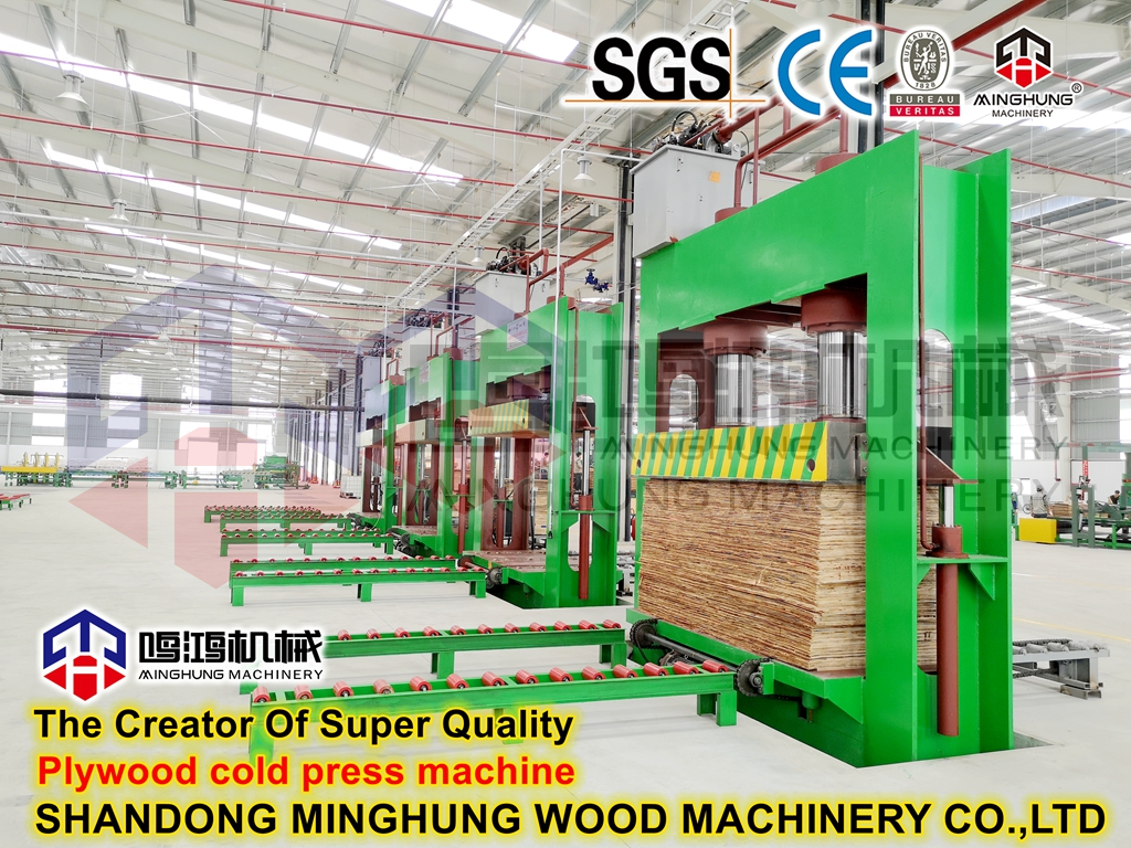 MINGHUNG MACHINE DE PRESSE À FROID_副本