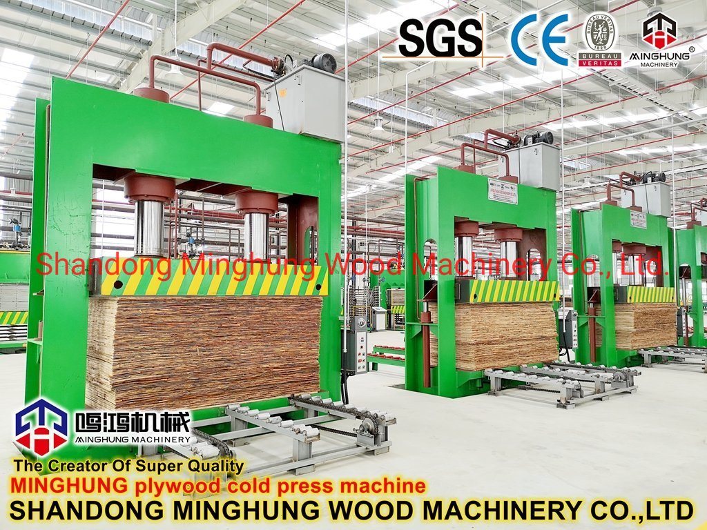 Presse à froid hydraulique de contreplaqué de travail du bois faite par l'usine de fabricant de la Chine