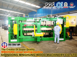 Machine à éplucher le bois de broche du fournisseur chinois