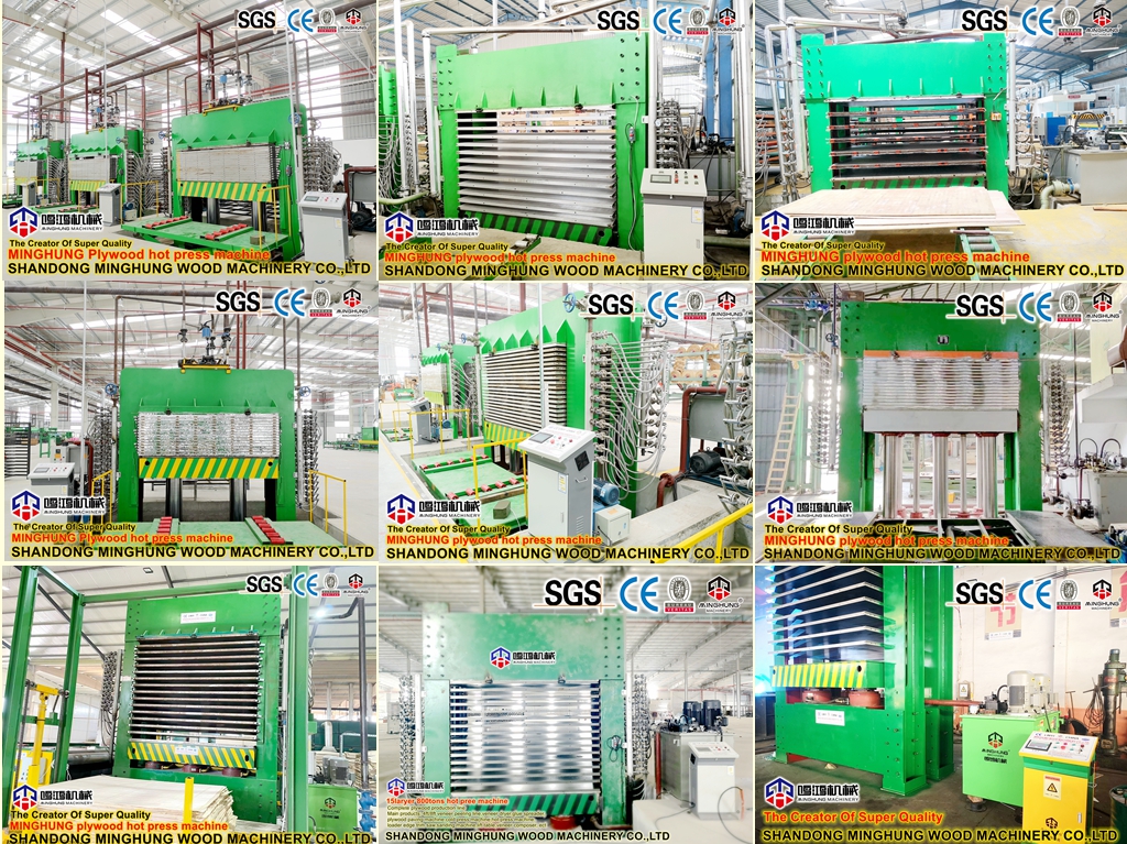 La machine complète de fabrication de contreplaqué en Chine