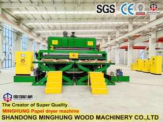 Machine de séchage de maille de placage de modèle standard de livraison rapide