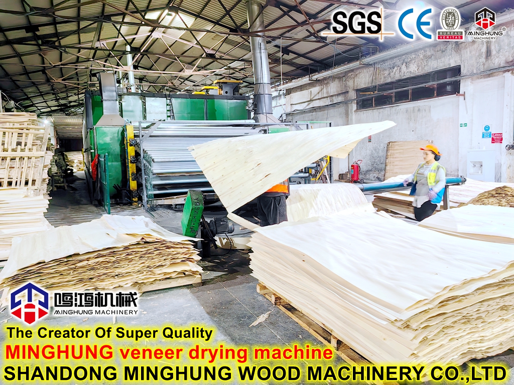 MINGHUNG machine de s&eacute;chage de placage 