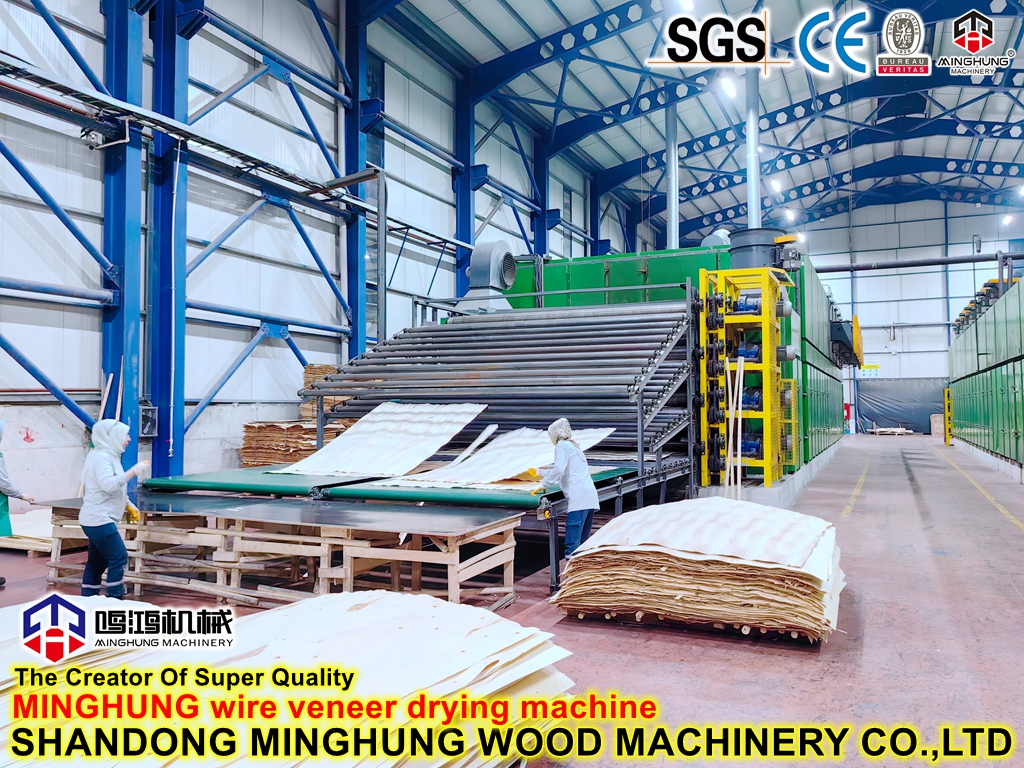 Fabricant de fabrication de placages de noyau en Chine : Machines de séchage de mailles de rouleaux de placage de noyau pour la ligne de machines de production de contreplaqué