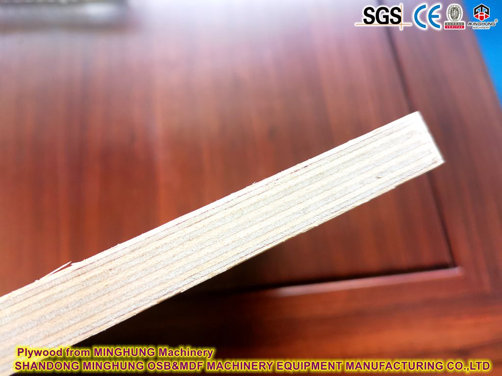 Plywood de MINGHUNG Machinerie de contreplaqué