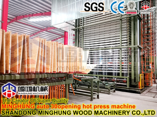 Presse hydraulique Pressage à chaud pour la fabrication de contreplaqué