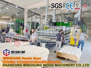 Sécheur de séchage de placage de rouleau de noyau