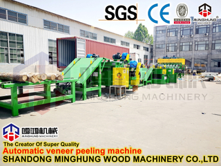 Équipement de traitement de placage