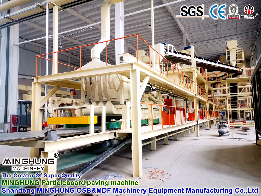 Ligne de machines de production de panneaux de particules OSB/LVL (panneaux à copeaux orientés) du Shandong