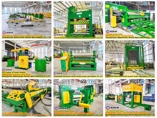 Ligne de production de contreplaqué de taille personnalisable