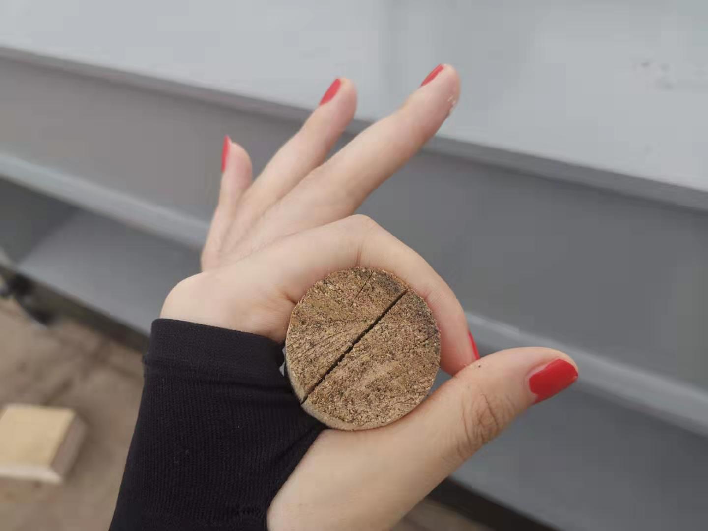 arbre en bois restant