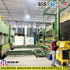 Produit 500 feuilles par jour machine entièrement automatique de presse chaude de contreplaqué