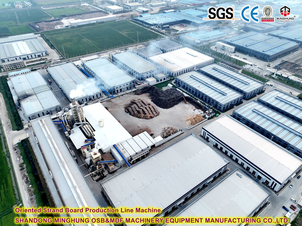 Ligne de machines de production de panneaux de brin orientés