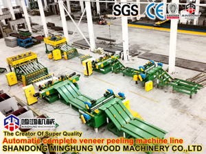 automatic veneer machine line_副本.jpg