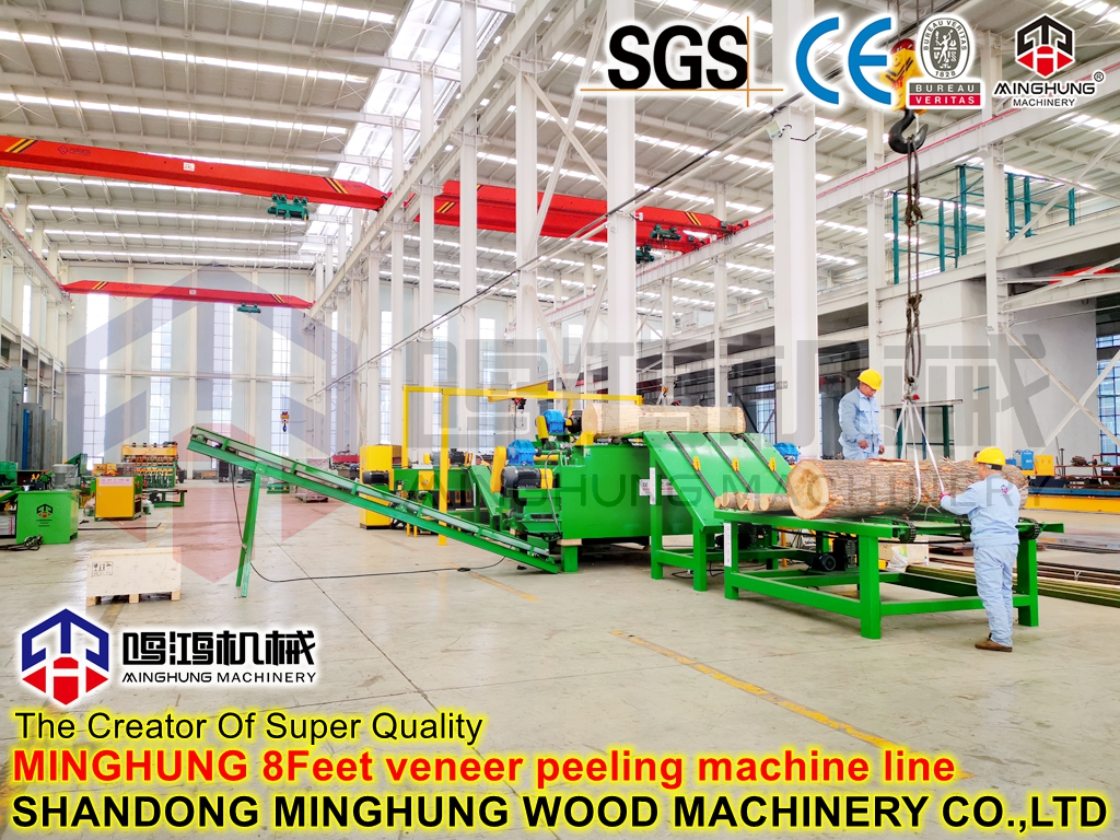 Ligne d'épluchage de placage de 2700 mm de l'usine chinoise