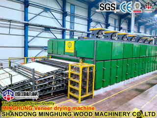 Machine à bois Machine de séchage de placage de bois rouleau de séchage de placage de visage Machine de séchage de contreplaqué-Shandong Minghung