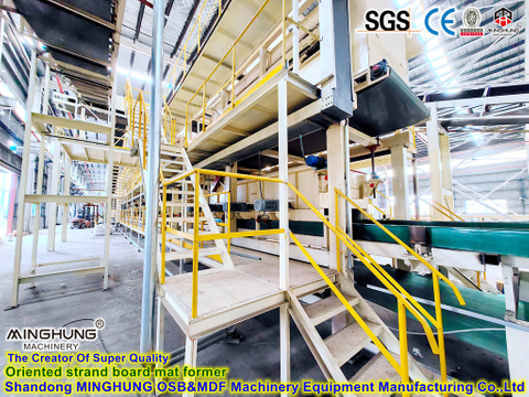 Chaîne de production de panneaux de particules MDF/HDF/OSB pour panneaux de particules OSB faisant la machine 4X8FT, 60000cbm