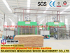 Usine professionnelle de la Chine Linyi de machine de presse à chaud de machine de contreplaqué