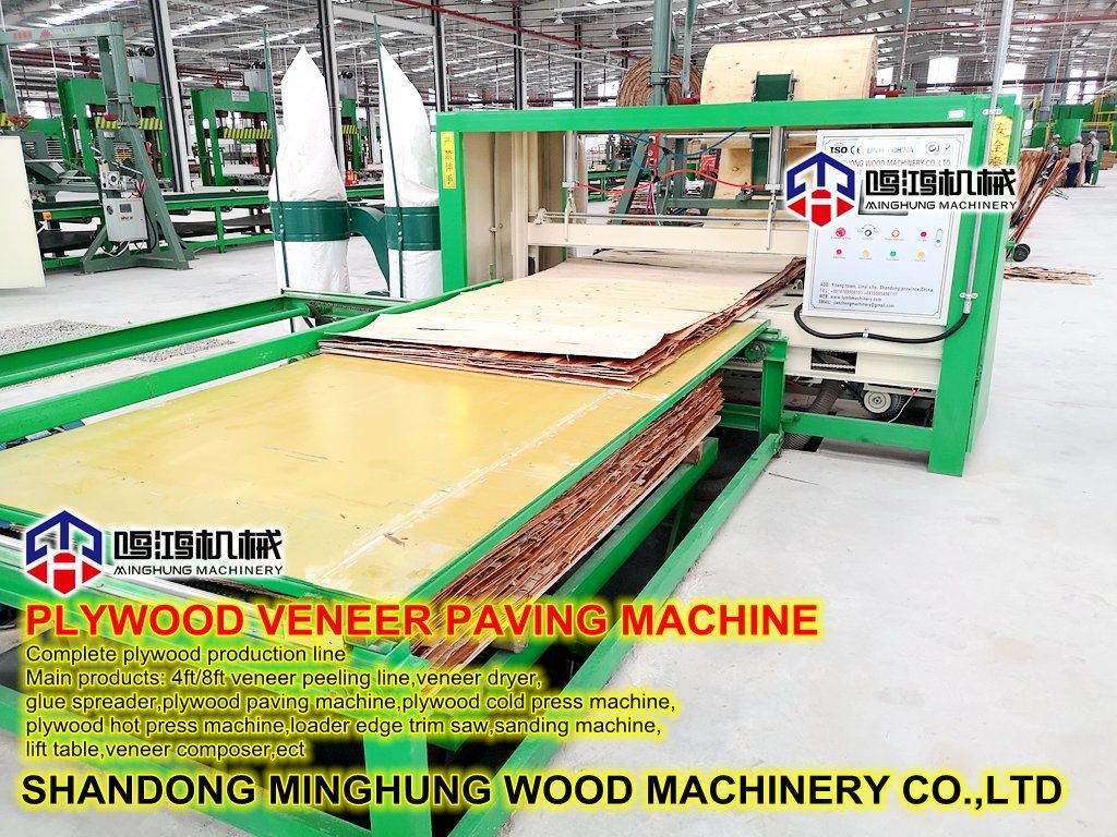 Machine de travail du bois Machine de disposition de noyau de placage de contreplaqué
