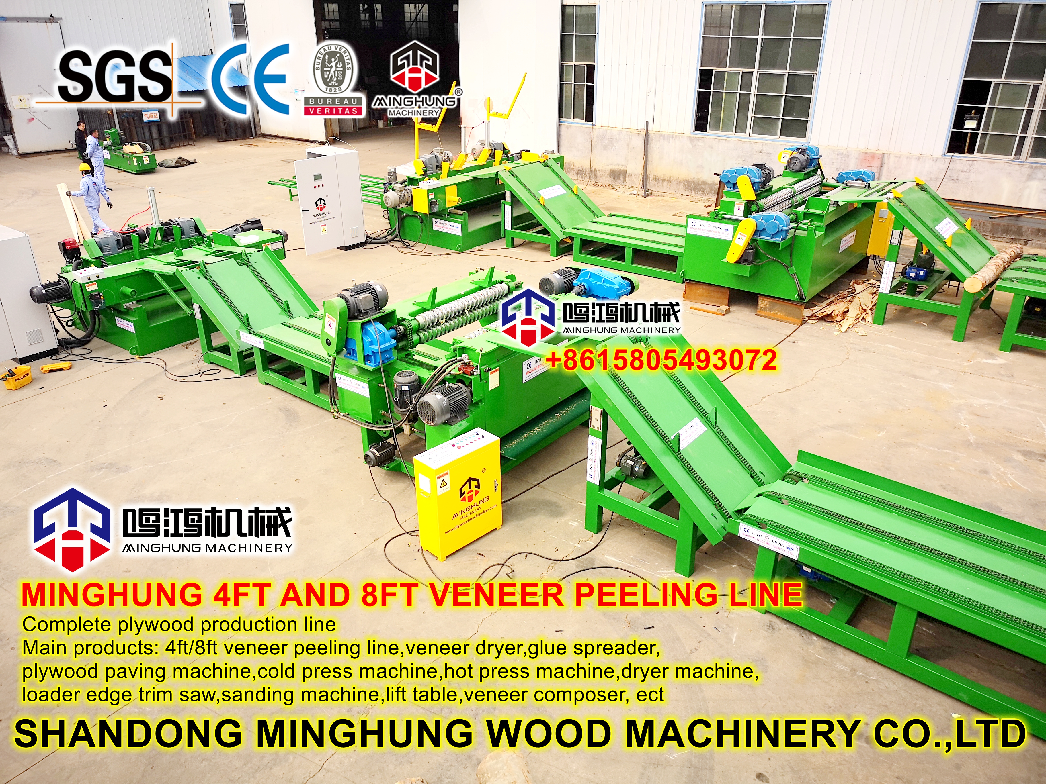 ligne d'épluchage de placage