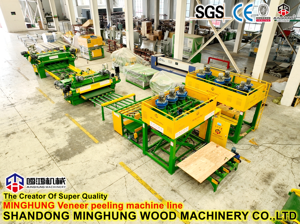Ligne de machine à éplucher les placages de tour à bois de 2700 mm pour le bois dur