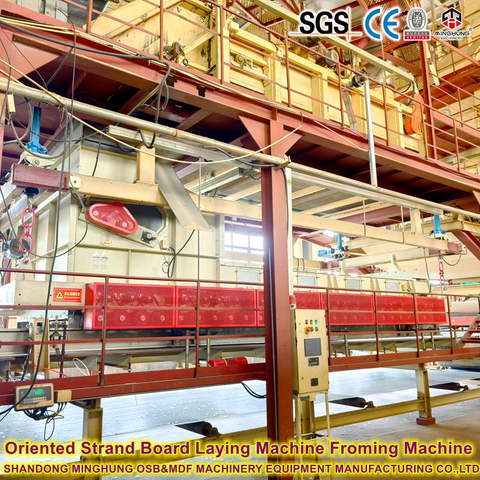 800m³ Ligne de production OSB quotidienne à haute stabilité 1220x2440 mm