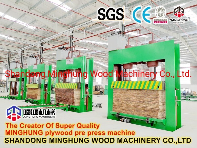 Machine de presse à froid de placage de contreplaqué de travail du bois de la Chine