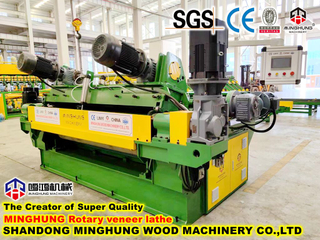 Machine à éplucher les arbres en bois de la Chine pour le placage de hêtre en bois dur