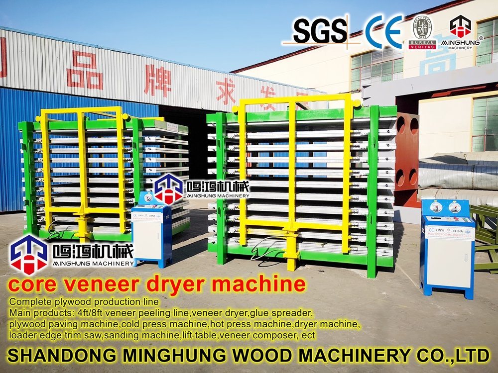 Machine de séchage de placage de bois du fabricant chinois