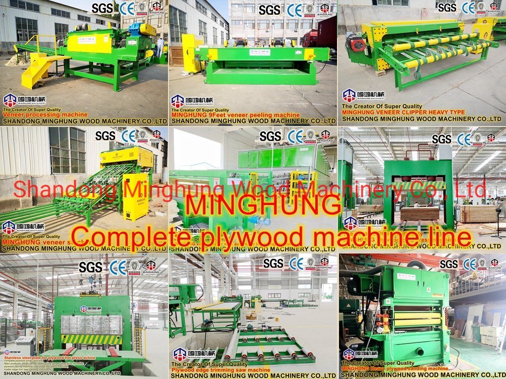 Fabricant de machines à contreplaqué en Chine Linyi