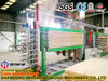 Machine de dessiccateur de placage de contreplaqué de 15 couches