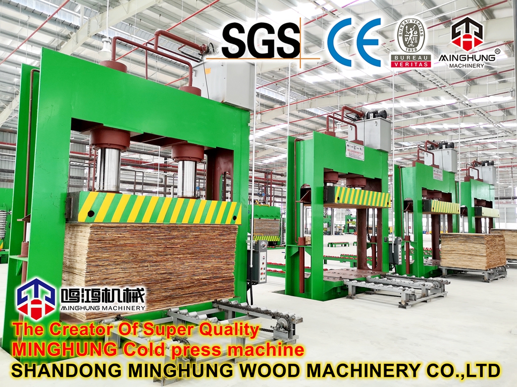 MINGHUNG Machine à froid REPESS pour le traitement du contreplaqué