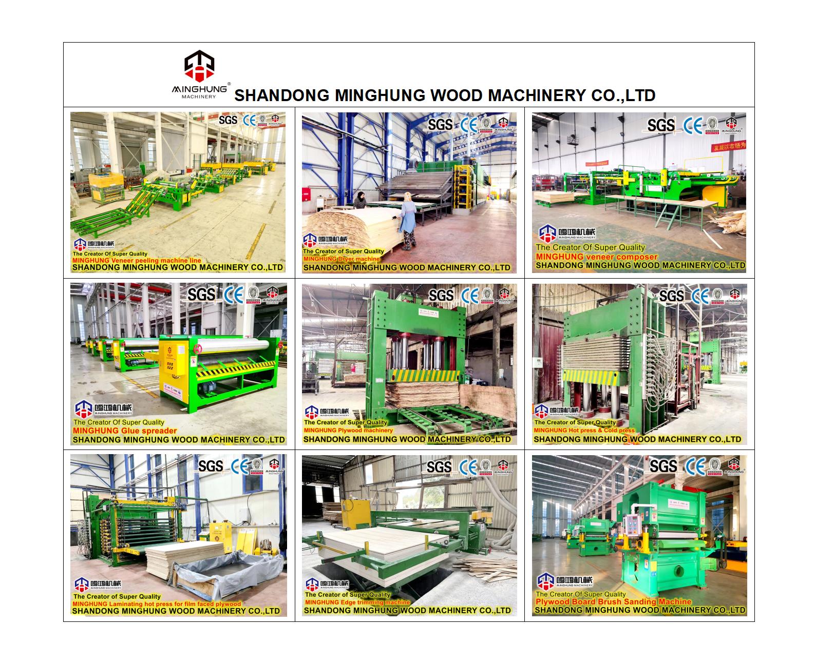 Machine à contreplaqué de Chine (2)