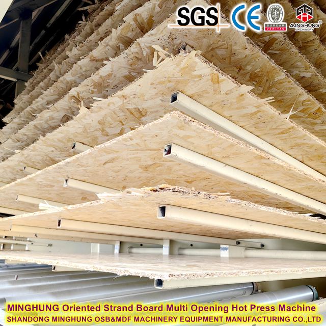 MINGHUNG Machine de pressage à chaud à ouvertures multiples pour panneaux à copeaux orientés