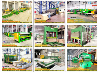 Machine de fabrication de contreplaqué écologique de qualité meuble