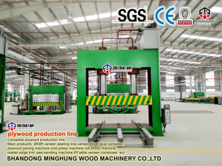 Appuyez sur la machine pour la production de contreplaqué en usine en Chine