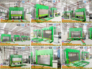 Fabrication de lignes de contreplaqué en Chine : machines d'écorçage/épluchage/presse à chaud/scies de coupe de chants entièrement personnalisées