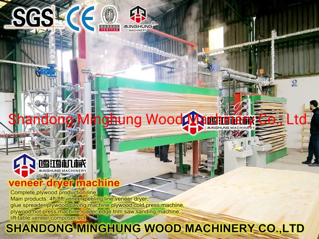 Machine de dessiccateur de presse de noyau de placage pour la machine de fabrication de contreplaqué