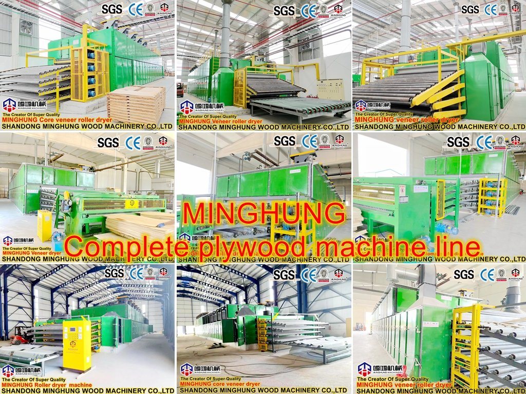 Machine de contreplaqué de machine de placage dans l'usine de la Chine