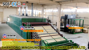 veneer drying machine.jpg