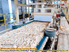 Ligne de production China OSB