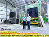 Machine de presse à chaud de contreplaqué 4*8 pieds pour la machine de produits forestiers